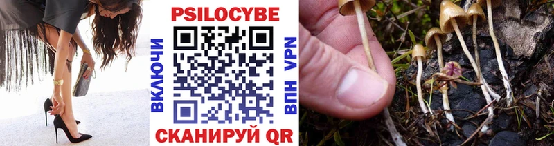 Купить  Мценск  Псилоцибиновые грибы прущие грибы 